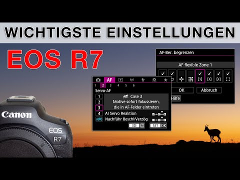 Canon R7 - Meine Einstellungen für die Vogelfotografie und Tierfotografie (Setup Deutsch)