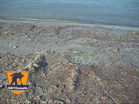 AYHAN BASKAL ve BABUTSA