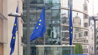 Македонија бележи добар напредок, но реформите мора да се засилат, ценат експертите