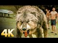 The Truth About Jacob S Tribe Twilight New Moon CLIP 4K