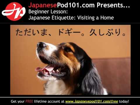 Climbing Mt Fuji Most Breathtaking Experience in Japan