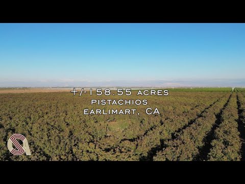 +/-158.55 Acres – Pistachios – Earlimart, CA