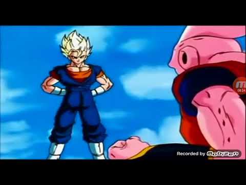 Vegettos coolste Sprüche