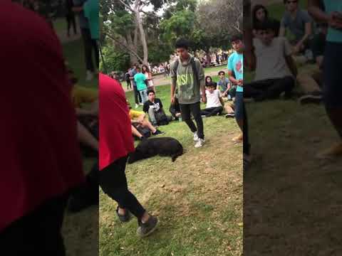 Zetave vs Toro vs Vuskoh vs Fobos | Filtros | Batallas De Freestyle Plaza de Armas La Serena.