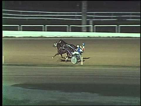 Trotto 03/09/2015 - 1° prova di qualifica