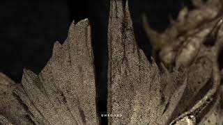 Unbound Music Video