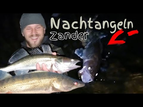 Night fishing for zander, try using a wobbler in the riprap #fishing #zander #predator