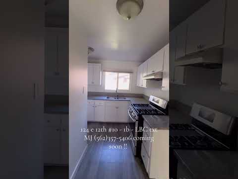 Newly Remodeled Beautiful 1 Bedroom/ 1 bathroom Apartment! With PARKING! - Video 4 of 4