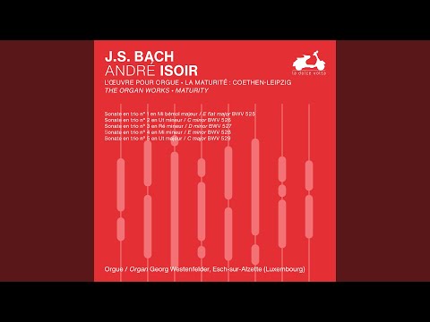 Trio Sonata No. 5 in C Major, BWV 529: II. Largo