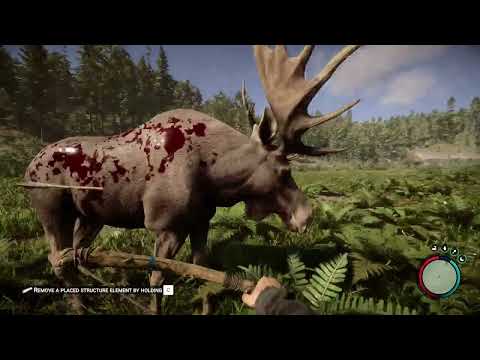 How to kill a moose | Sons of the Forest