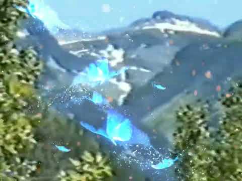 Math Dealer | Douady Rabbit (Official Music Video)