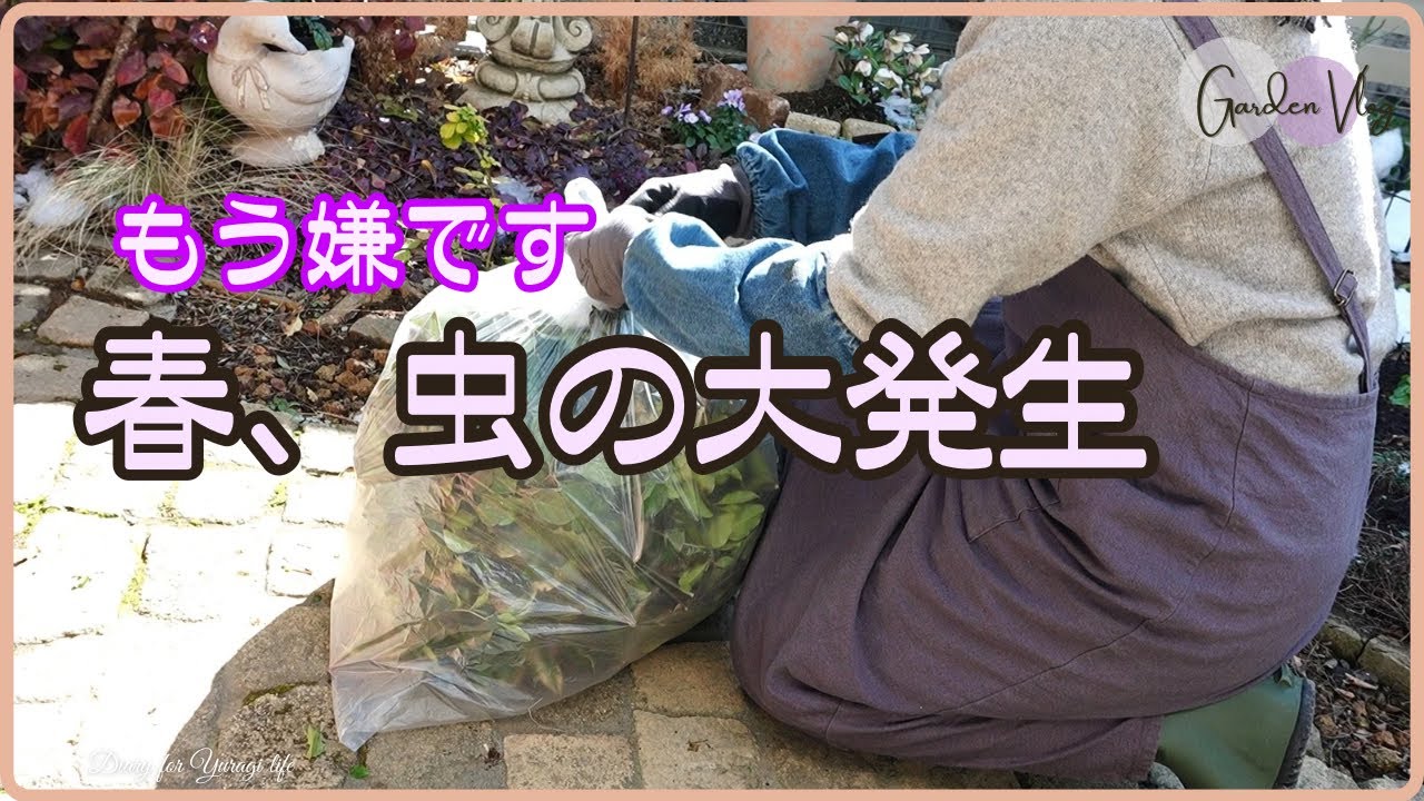 今やれば春は安心！樹木と庭を守る病害虫ケア