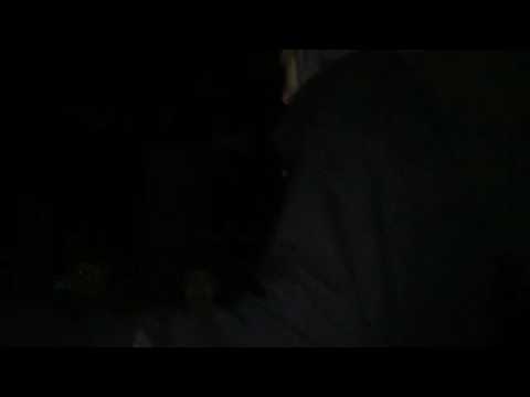 Final- Vitoh vs Narco- Clasificatoria