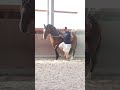 So geht piaffieren #piaffe #dressur #dressage