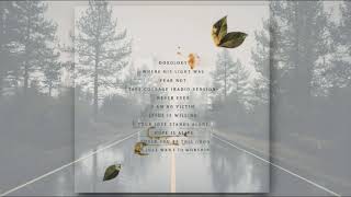 Kristene Dimarco -Where His Light Was