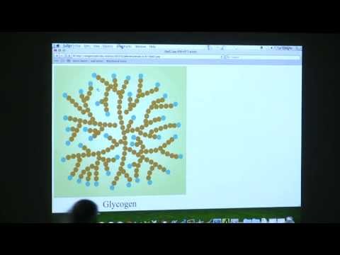 #28 BB 350 Glycogen Metabolism / Cori Cycle - Kevin Ahern's Biochemistry Online