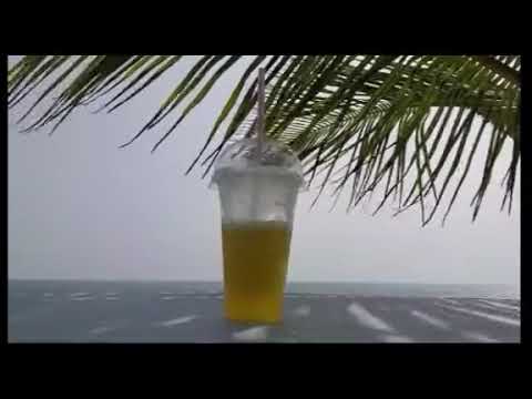 beach video