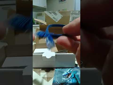 Amiga 1200 Omniport Icedrake v4