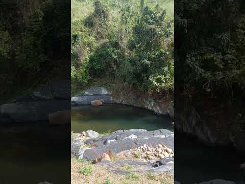 Pozas del Río Capiricual en Hacienda Cristo Rey,  Municipio Acosta del estado Monagas