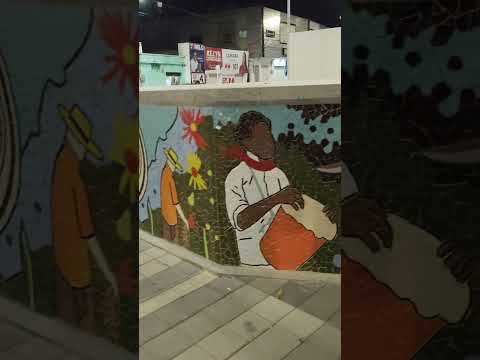 Algo de Plato,  Magdalena y la leyenda del hombre caimán #lugares #historias #leyendas #caribe