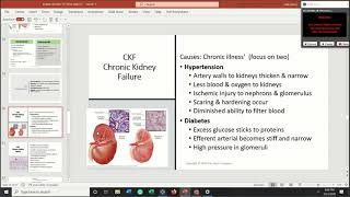 AKI & CKD Kidney part 3