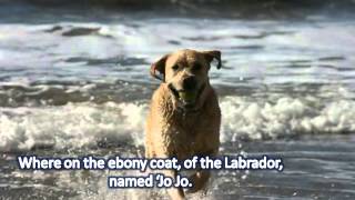 Donna Fargo - Ragamuffin Man