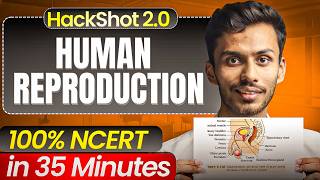 Human Reproduction ONE SHOT in 35 Mins | Class 12 Biology | Dr. Parth Goyal | HACKSHOT 2.0