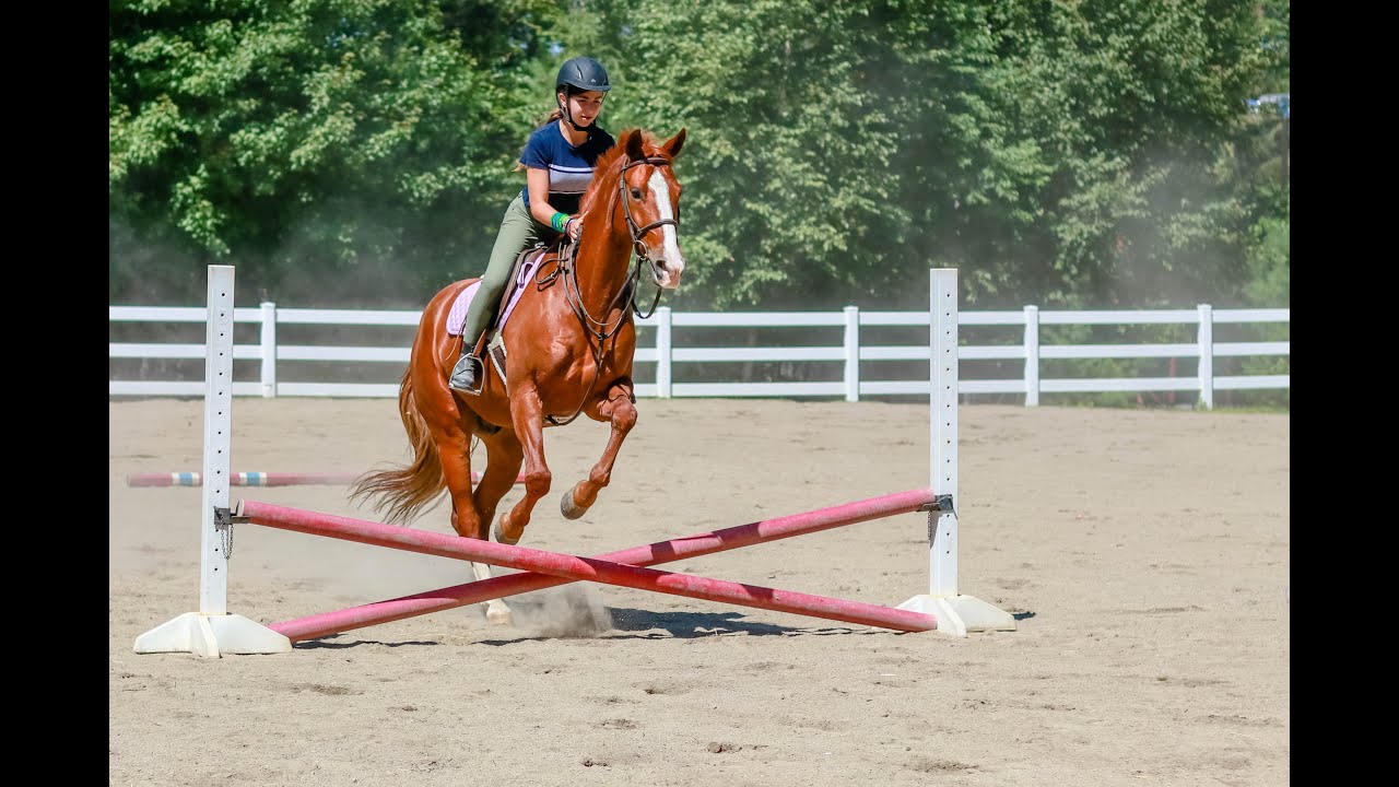 Summer Camp Equestrian Program at Camp Laurel