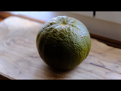 Arancio chocolate navel🍊| Mini video | Food Stories