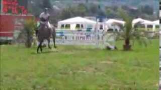 Video von Emmy Lou 9