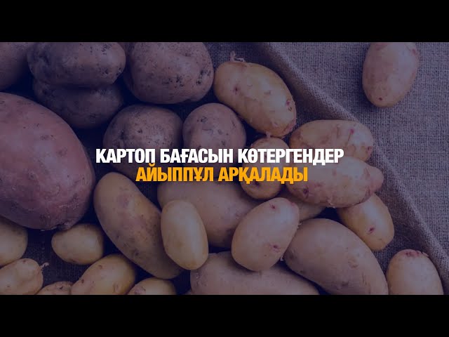 Картопты қымбат сатқандар анықталды