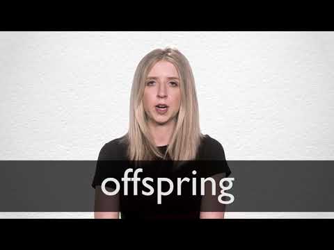 production of offspring meaning in hindi