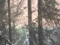 First Snowfall
