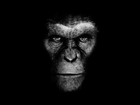 ELETRÔNICAS PANCADAS 2018!!;^