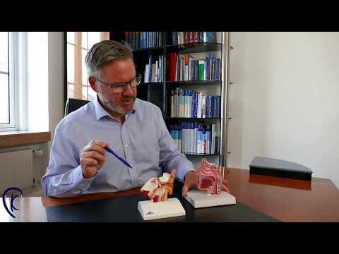 Tubenbelüftungsstörung Teil 1 | Priv. Doz. Dr. med. Christoph Klingmann