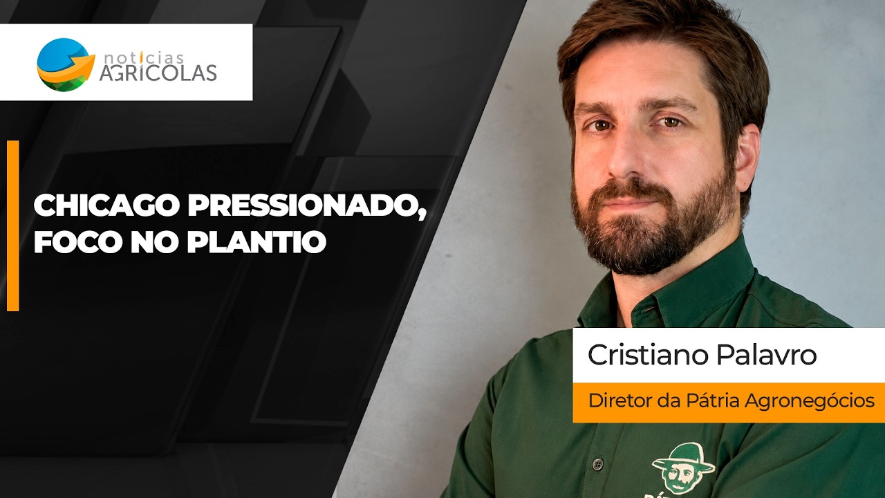 Mercado brasileiro da soja tem semana de preços pressionados, poucos negócios e foco no plantio