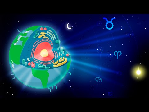 ACV254 Hipnosis: Las Constelaciones y la tecnología antigua | Akenatón | Las pirámides