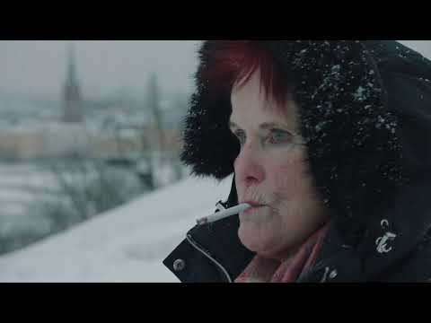 Uppdrag granskning   Uppdrag granskning sommar  Fallet Christer Pettersson