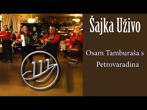 Orkestar Šajka - Osam tamburaša sa Petrovaradina  (Official Video)