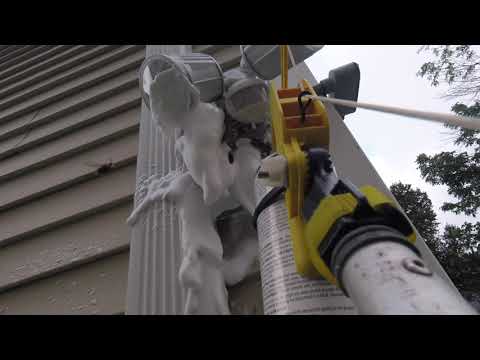 Bald Faced Hornets Terrify Toddlers in Howell, NJ