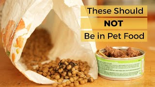 Mold, Metal and Worms in Pet Food