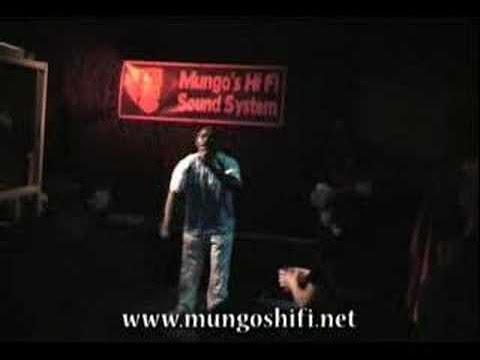 Mungo's Hi Fi ft. Top Cat - Badder Than Them