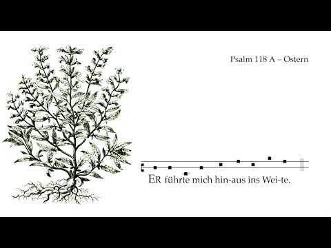Psalm 118 – Wochenpsalm Ostern