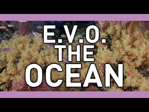 E.V.O.: Search for Eden - The Ocean (cover w/lyrics)