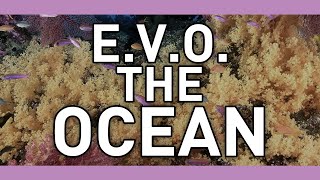 E.V.O.: Search for Eden - The Ocean (cover w/lyrics)
