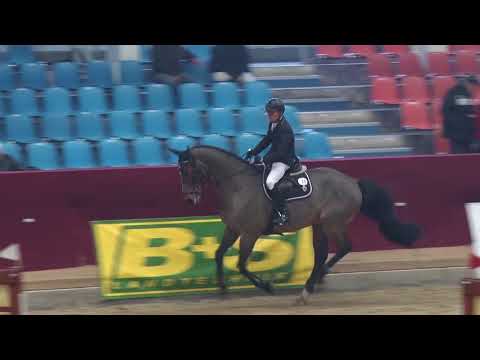 Hendrik Voigt und Ares Allister - Springprüfung Kl. S* m. SR