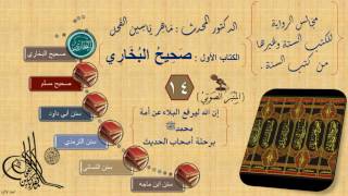 صورة 14 - مجالس الرواية || صحيح البخاري : رقم الحديث من 1200إلى 1300 || د.ماهر الفحل