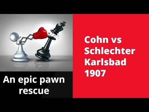 An epic pawn rescue | Erich Cohn vs Carl Schlechter Karlsbad 1907