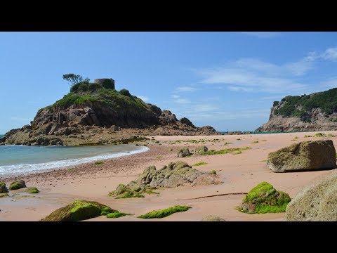 "Der wahre Herr der Fliegen": Story gestrandeter Kinder wird verfilmt