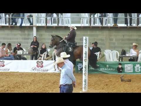MALAGUEÑA DE RANCHO LUNA, GRAN CAMPEONA TROCHA Y GALOPE ENTRERRIOS ANTIOQUIA 2026